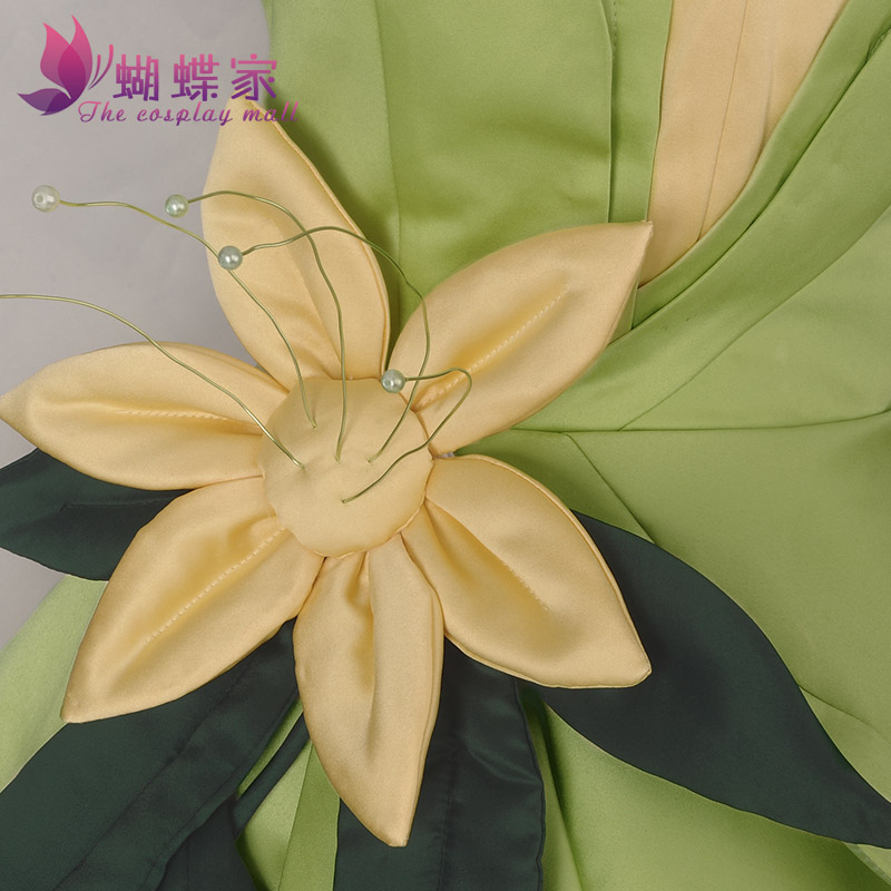 Prinzessin Tiana Kleid Cosplay – Tech Hair Accessories Bewertung und Preis
